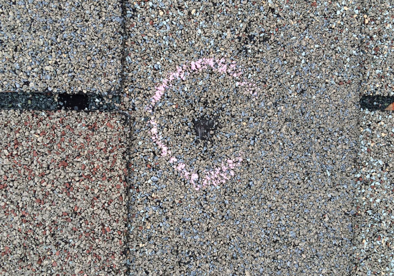 Hail-bruised asphalt shingle showing granule loss after an Arkansas storm, circled during a roof inspection