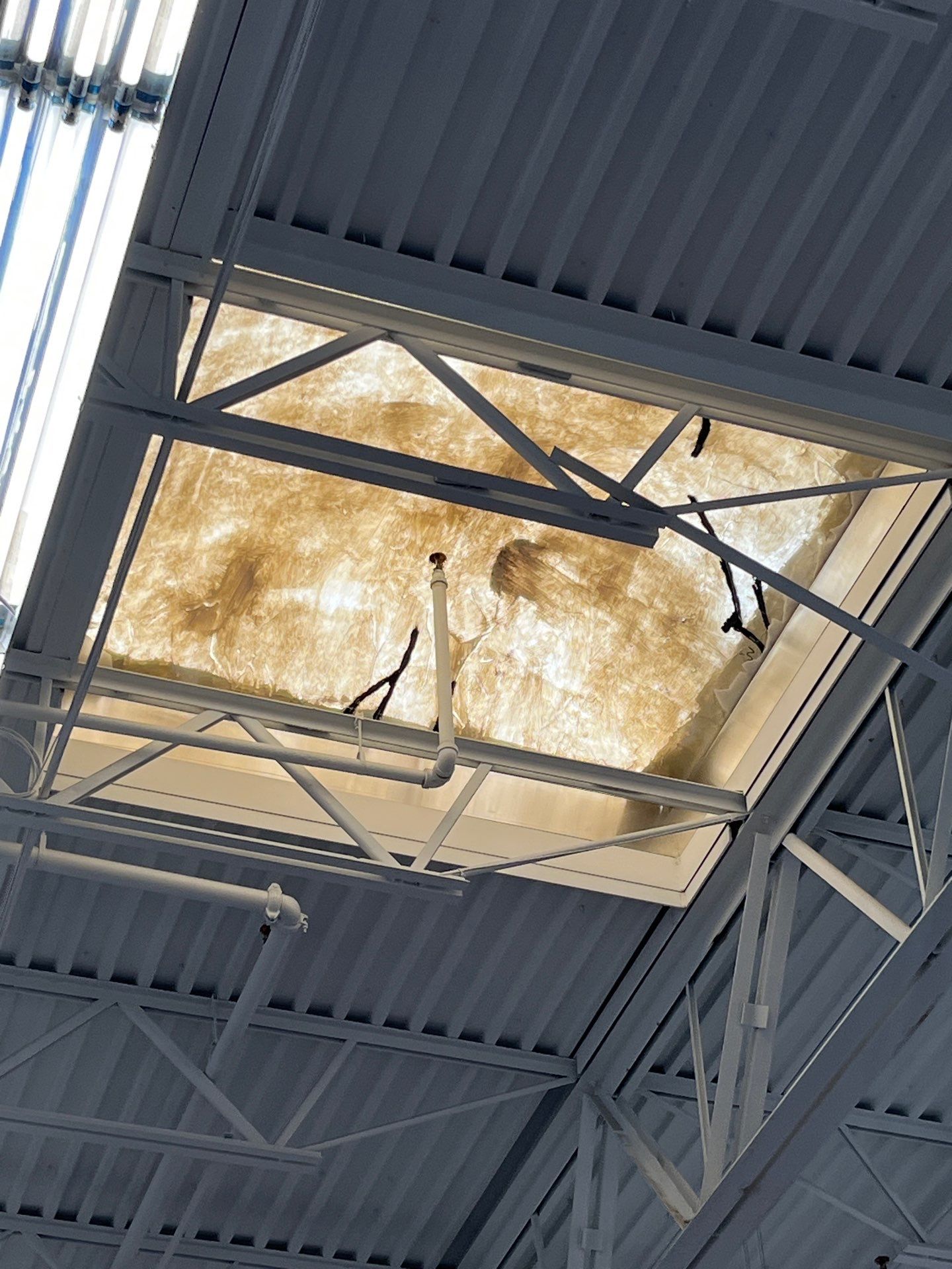 Interior view of an aging commercial skylight in Hammond with a fire-sprinkler line running across the opening