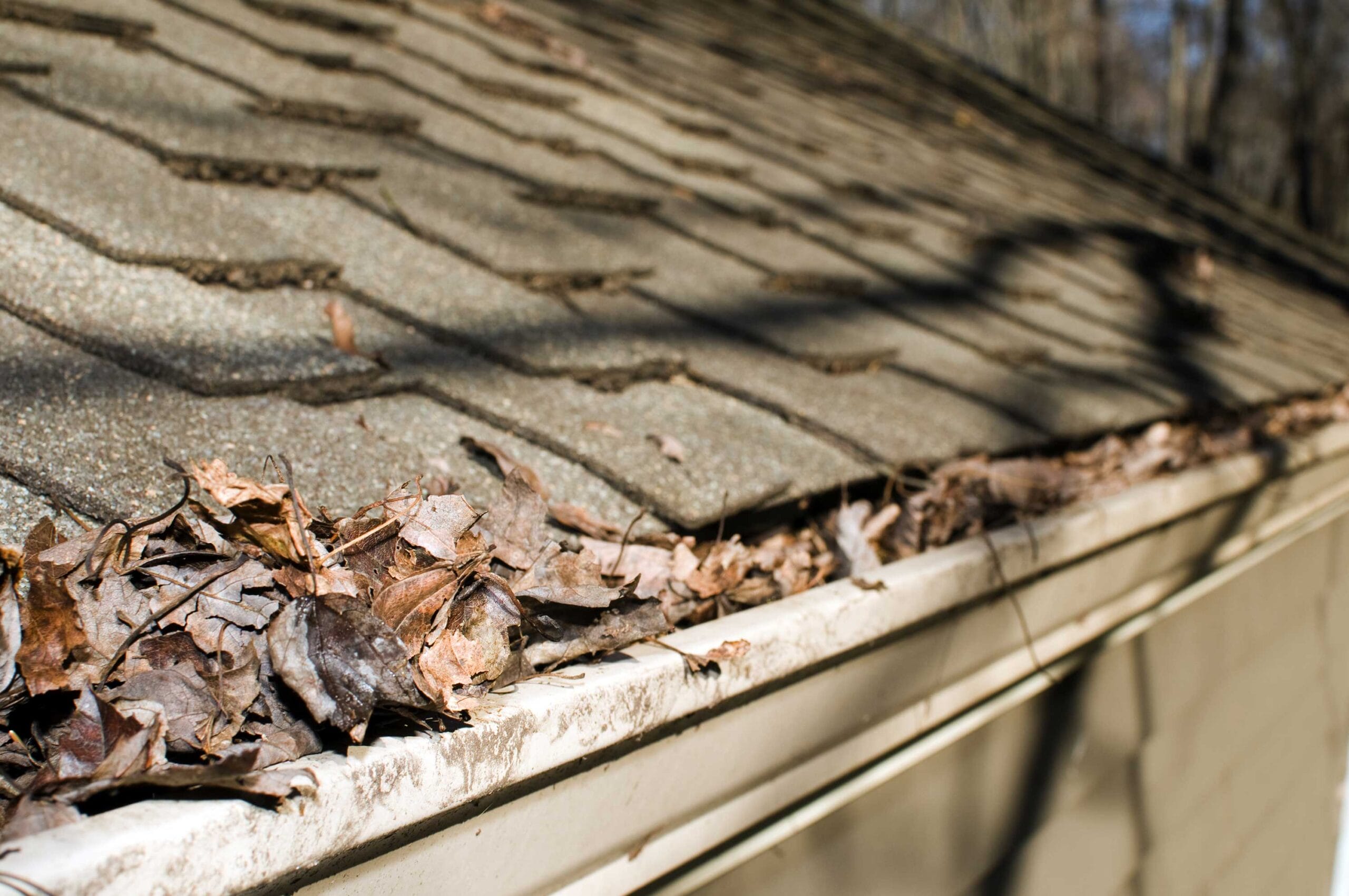 spring roof problems, spring roof damage, Denham Springs