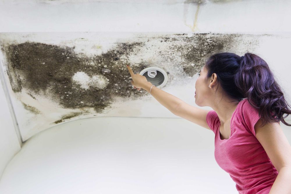 common winter roof problems