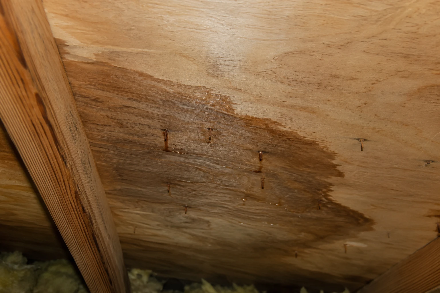 Water staining and rusted nail tips on attic decking indicating roof leak, Louisiana home