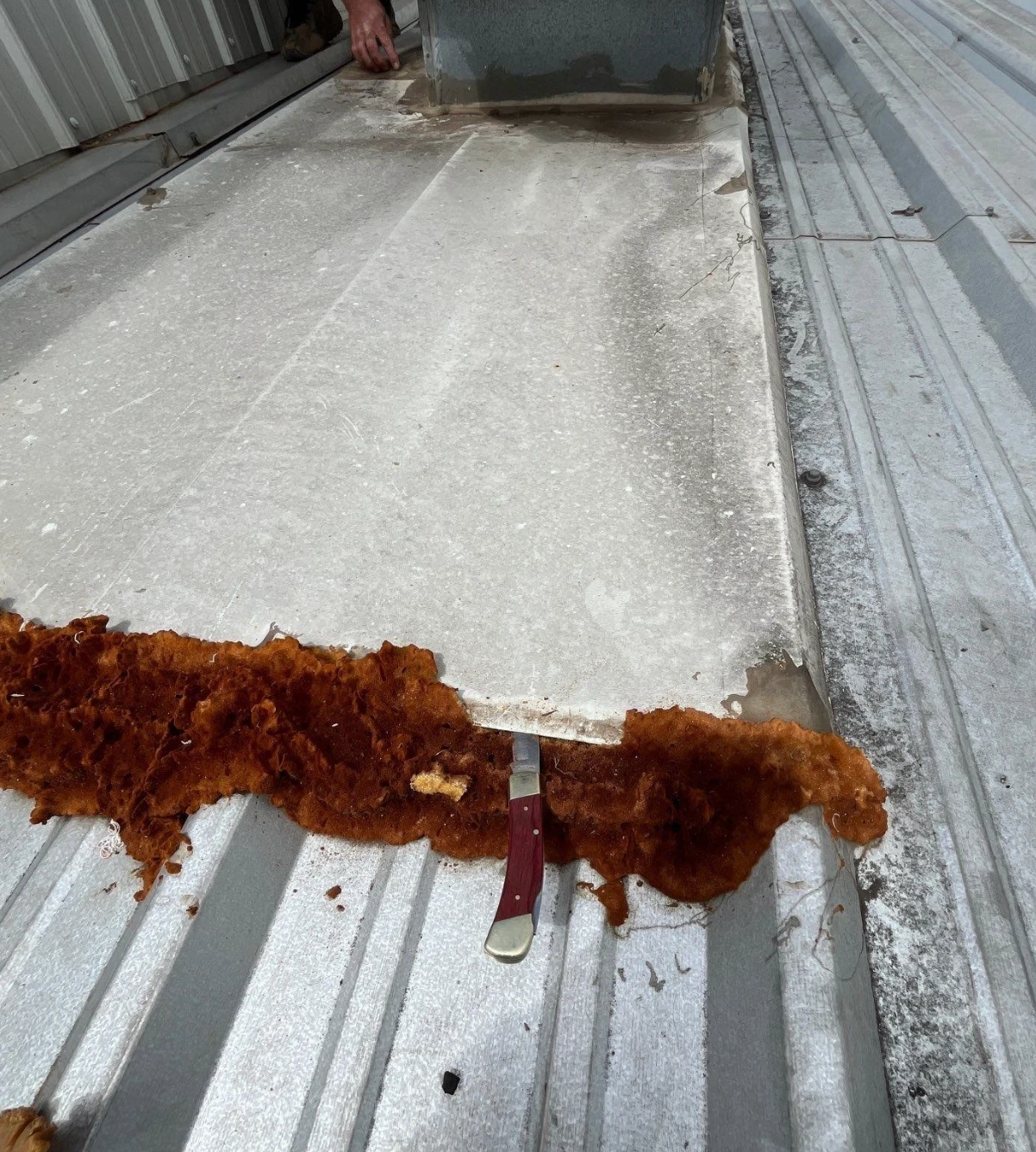 Severe rust and corroded material exposed beneath an existing metal roof panel — the tear-off case in a metal roof overlay assessment