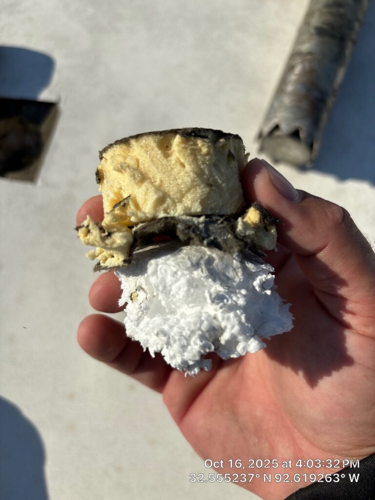 Core Sample Close up