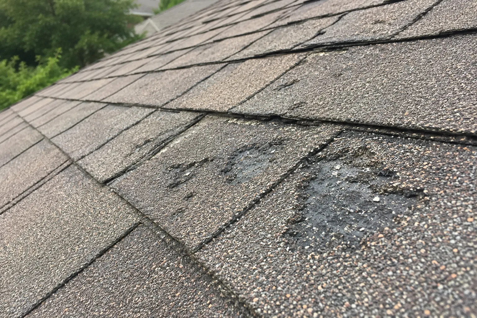 Shingle blistering and granule loss from a hot underventilated attic on a Wichita roof