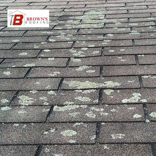 Lichen buildup roof