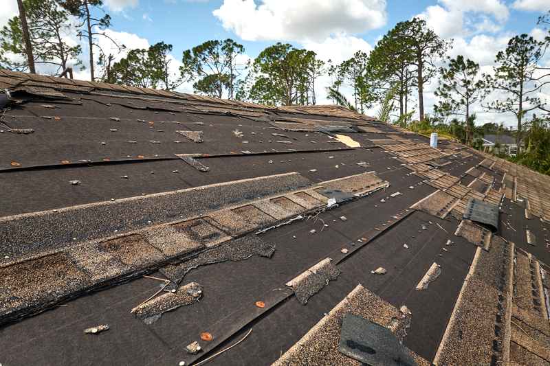 reasons to replace a roof in Shreveport