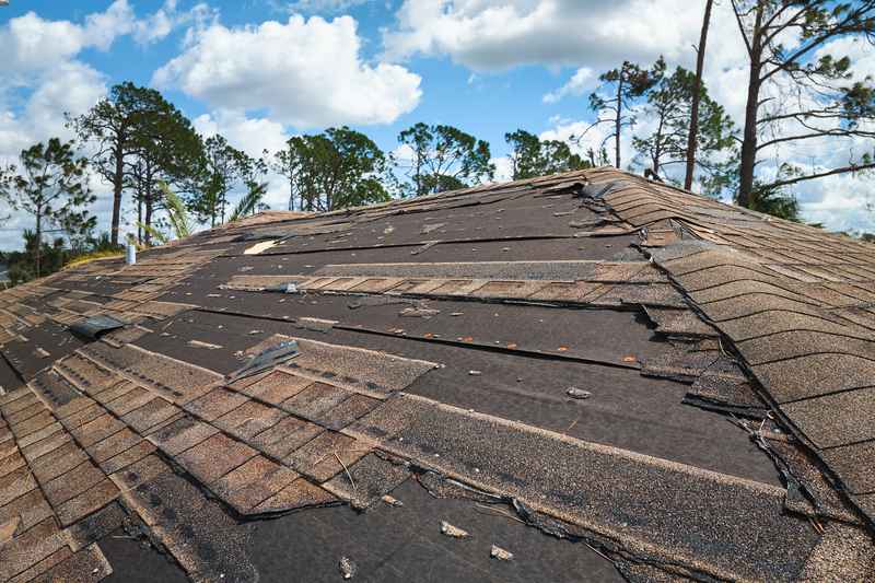 heat damage, baton rouge LA