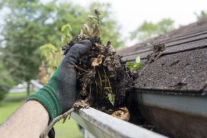 Gutters Clogged with Debris and how to prevent.