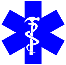 Roofing Emergency Response Logo