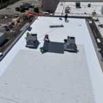 Cajun Guns Thumbnail