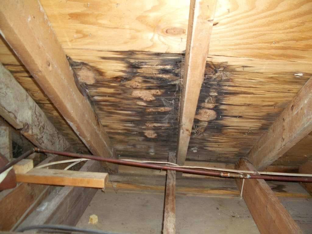 Interior Roof Leak