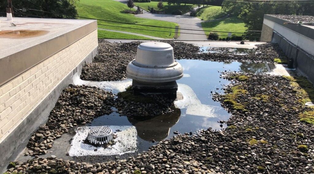 Water pooling on a flat roof