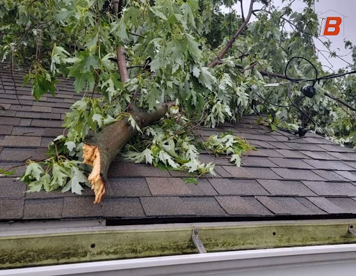 Tree limb on a roof after a wind storm.