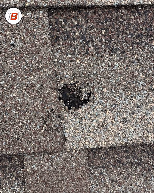 Hail damaged shingle