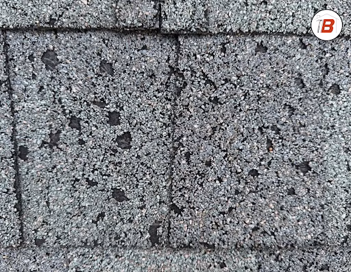Example of sun blistered shingles