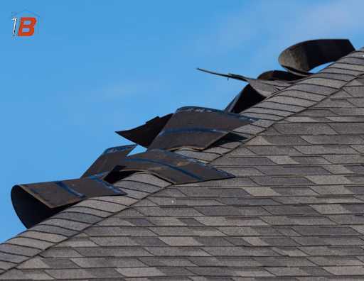 Wind blown roof shingles.