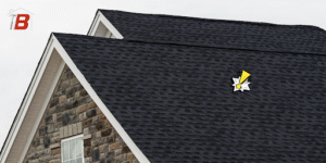Popping Noises in a roof system