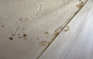 Roof leak interior damage