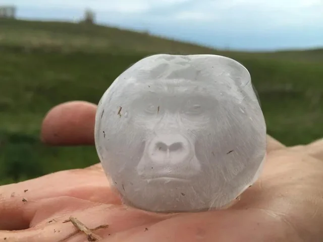 Gorilla Hail